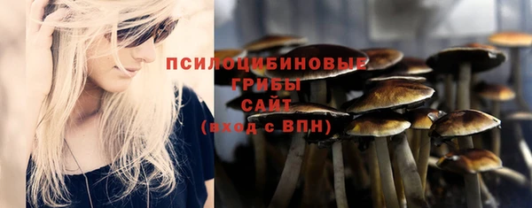 Альфа ПВП Надым