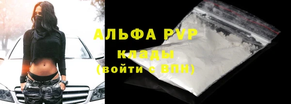 Альфа ПВП Надым