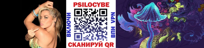 mega зеркало  Кирсанов  площадка состав  Псилоцибиновые грибы Cubensis 